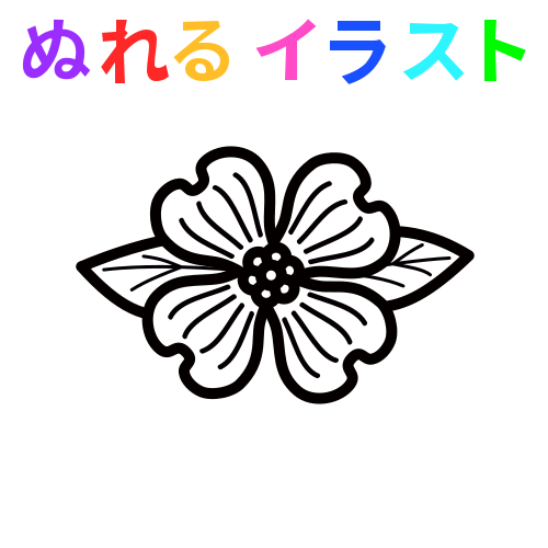 ハナミズキ イラスト 簡単詳細 10位