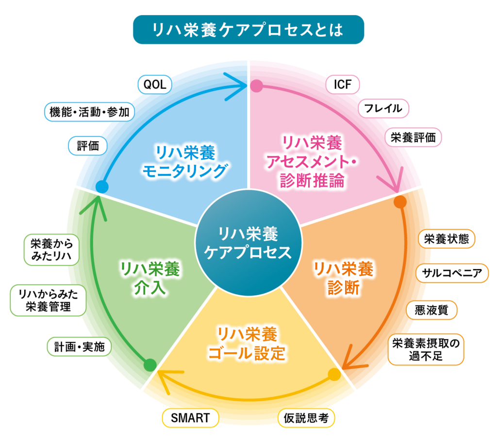 ハヤトウリ 栄養詳細 3位