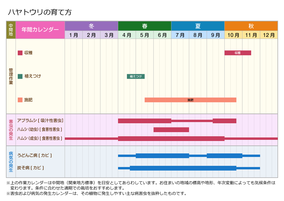 ハヤトウリ 栄養詳細 4位