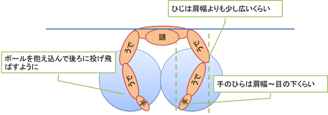 バタフライ 泳ぎ方 イラスト詳細 11位