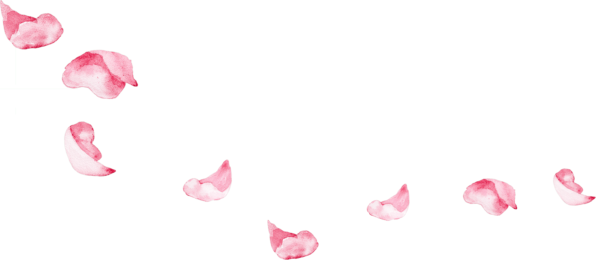 バラ の 花びら詳細 7位