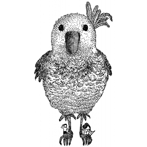 ビッグ バード イラスト詳細 14位