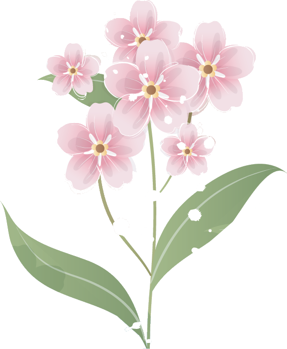 ピンク の 花 イラスト詳細 2位