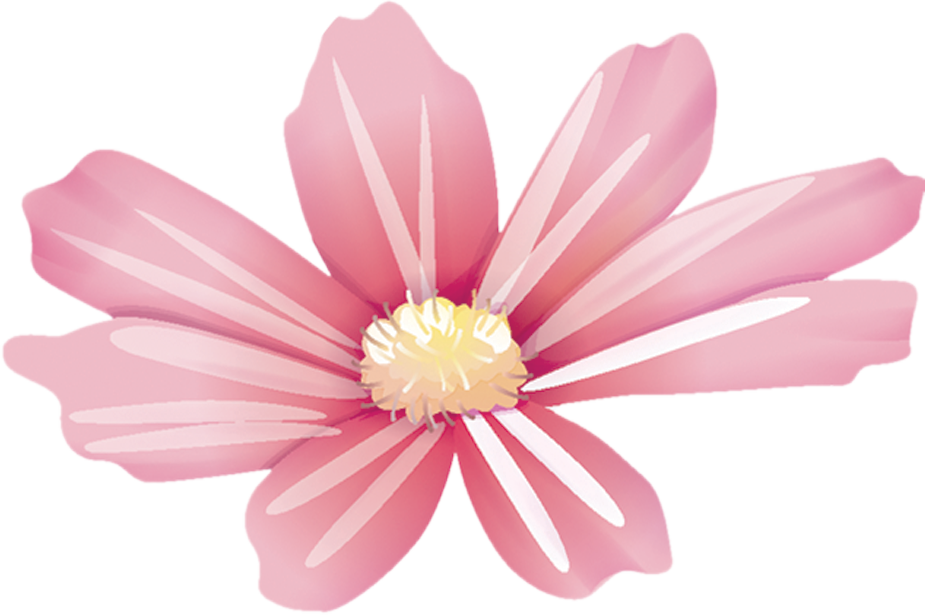 ピンク の 花 イラスト詳細 3位