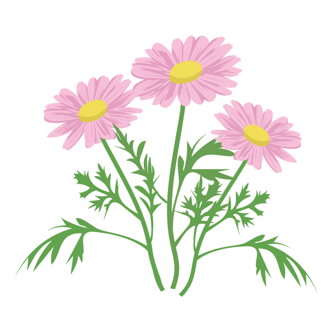 ピンク の 花 イラスト詳細 6位