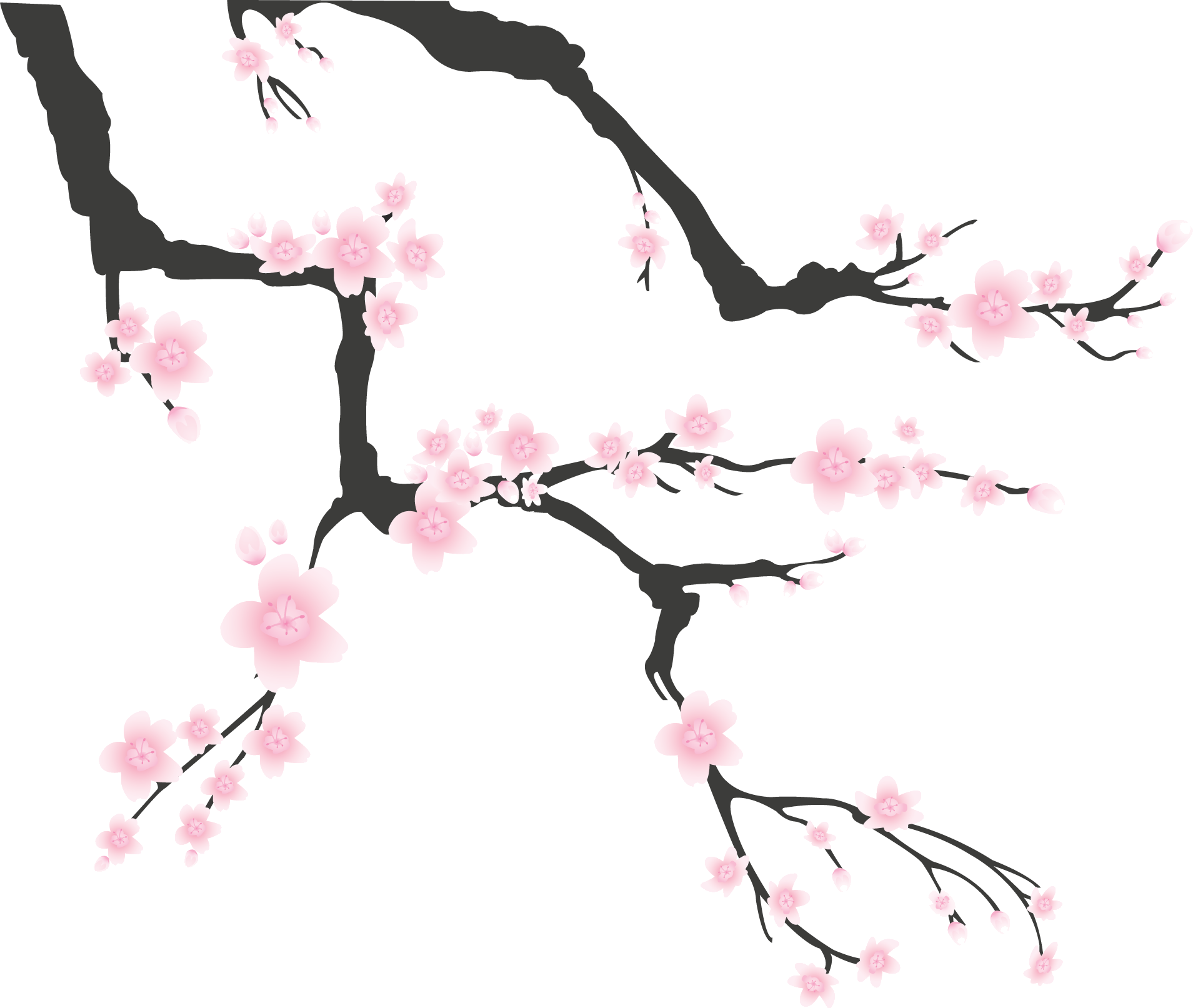 ピンク の 花の木詳細 3位