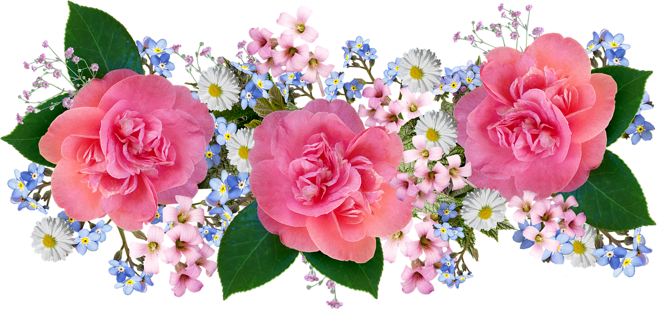 ピンク 花 画像詳細 7位