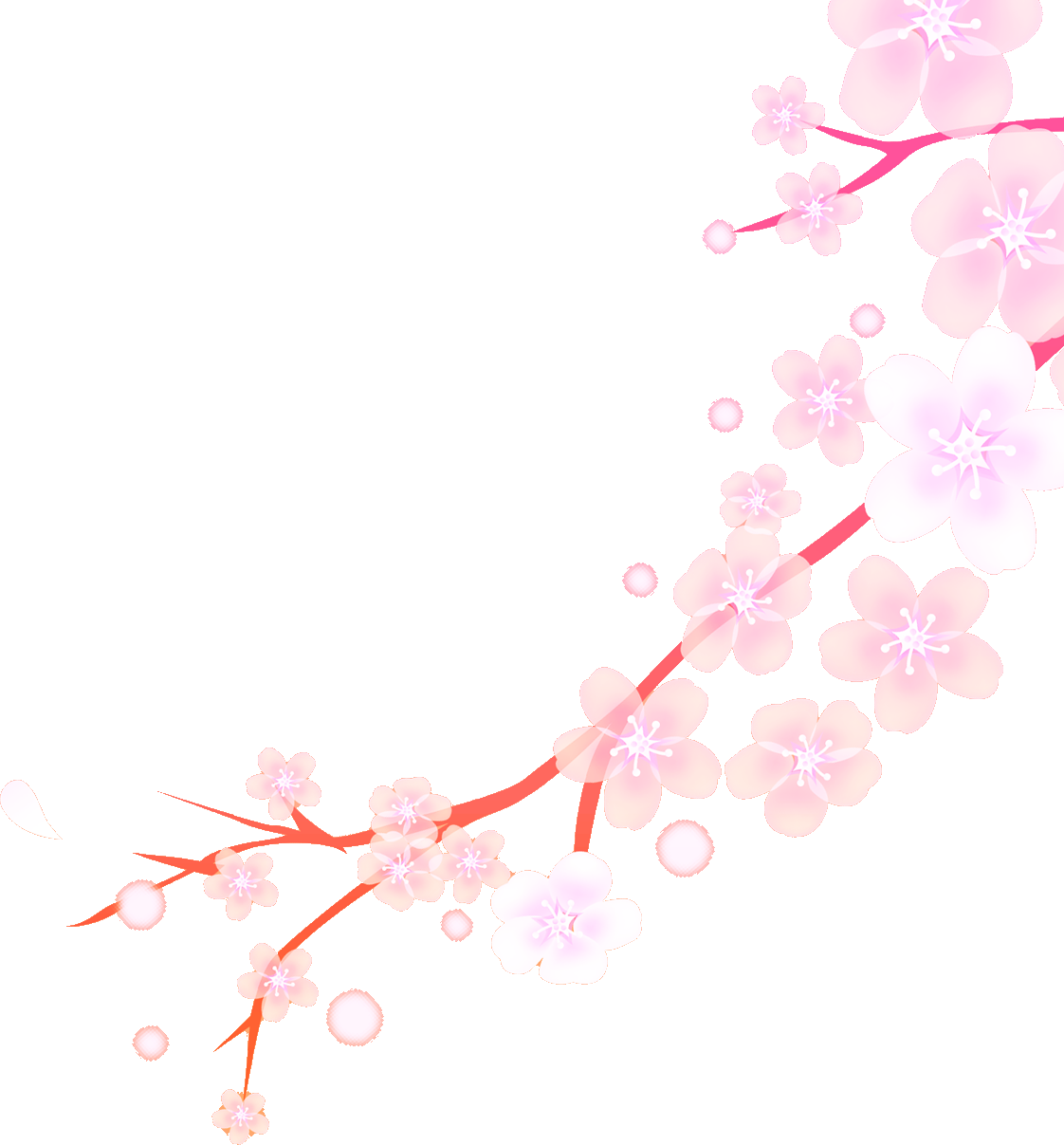 フリー 桜 イラスト詳細 9位