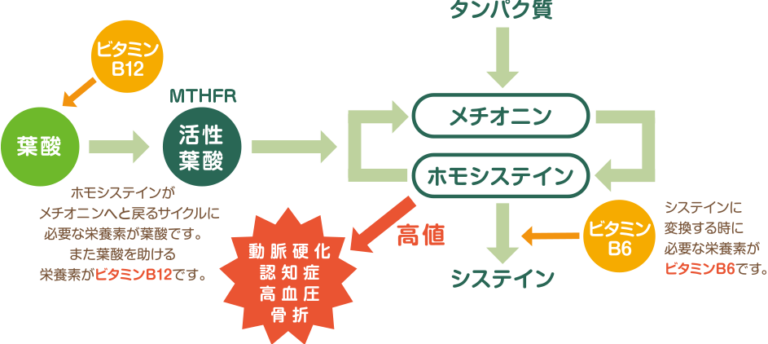 ホモ 画像詳細 12位