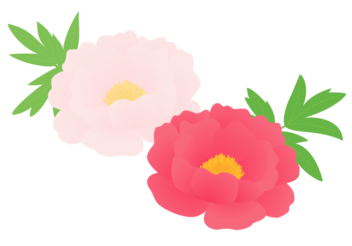 ボタン 花 イラスト詳細 3位
