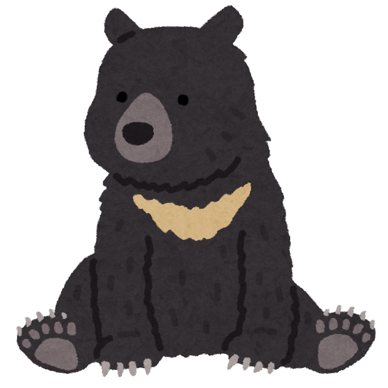 マグマ 画像 フリー詳細 9位