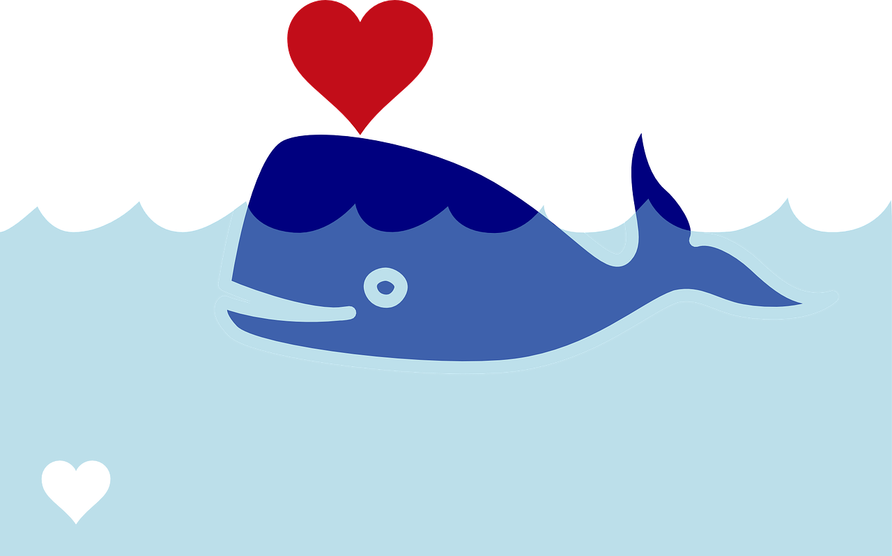 マッコウ クジラ イラスト詳細 9位