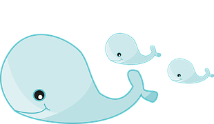 マッコウ クジラ イラスト詳細 10位