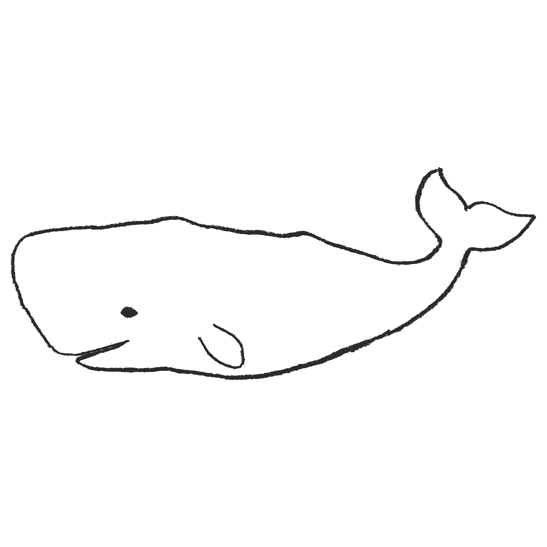 マッコウ クジラ イラスト詳細 5位