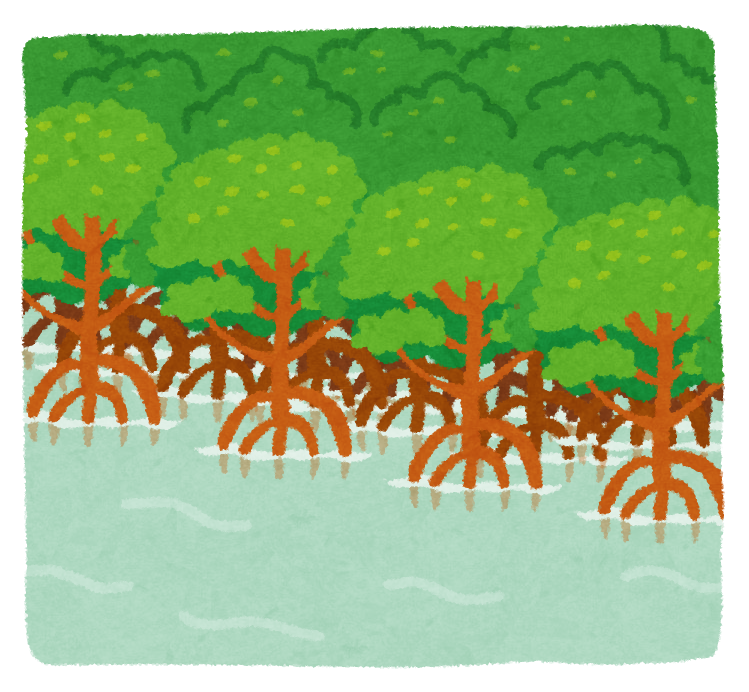 マングローブ イラスト - KibrisPDR