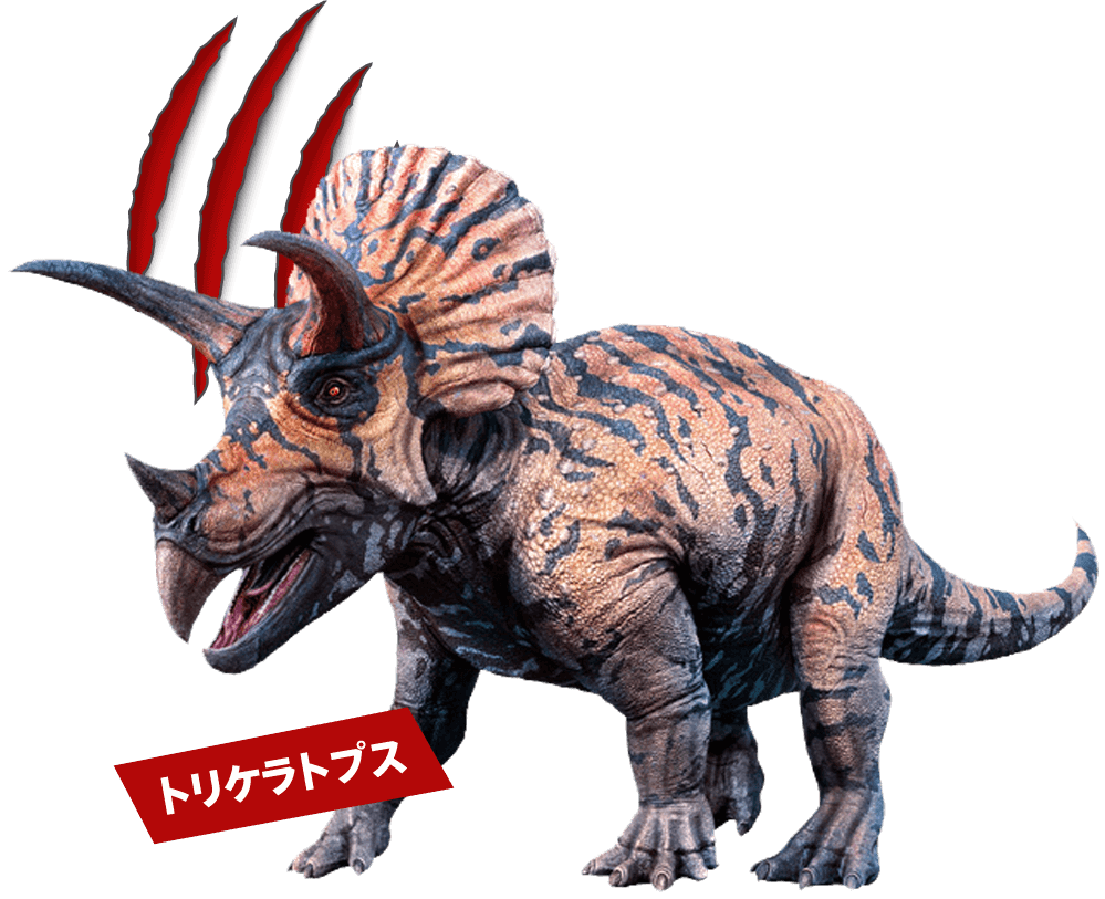 ミンミ 恐竜詳細 8位