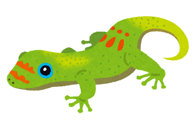 ヤモリ イラスト かわいい - KibrisPDR