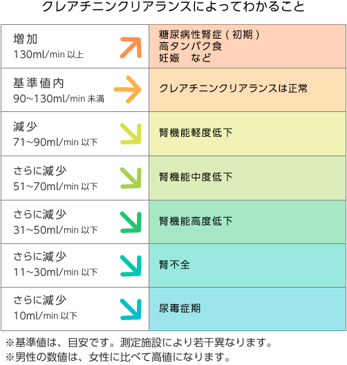 ユー ストレプト スポン ディルス詳細 14位
