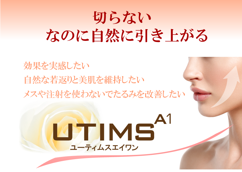 ユー ストレプト スポン ディルス詳細 9位