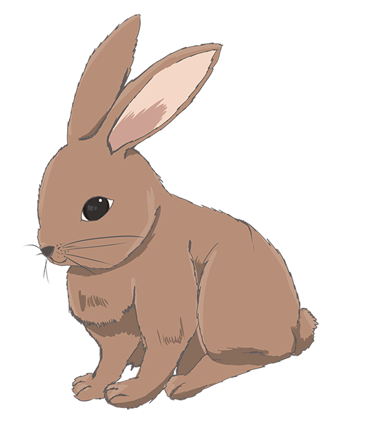 リアル かわいい うさぎ イラスト詳細 11位