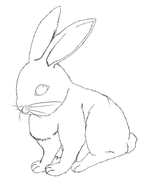 リアル かわいい うさぎ イラスト詳細 8位