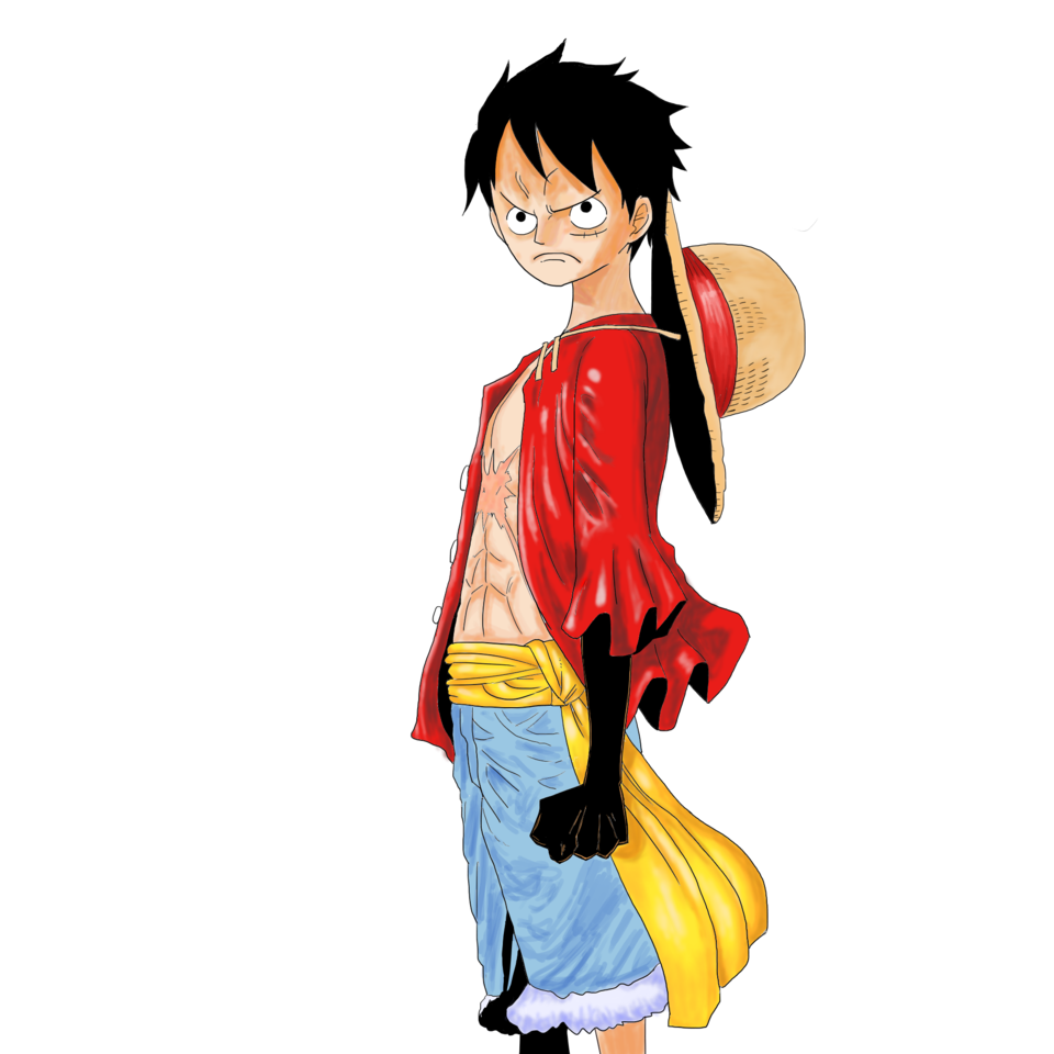 ルフィ 麦わら詳細 13位