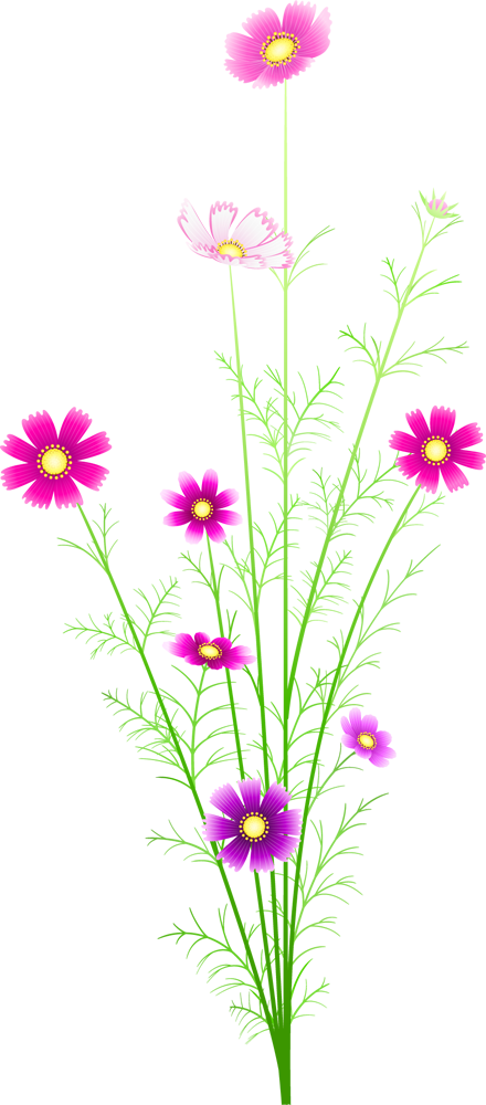 一輪 の 花 イラスト詳細 8位