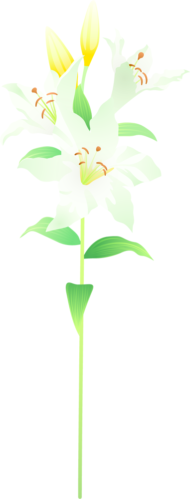 一輪 の 花 イラスト詳細 10位