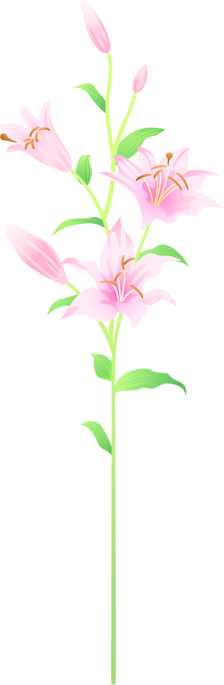 一輪 の 花 イラスト詳細 11位
