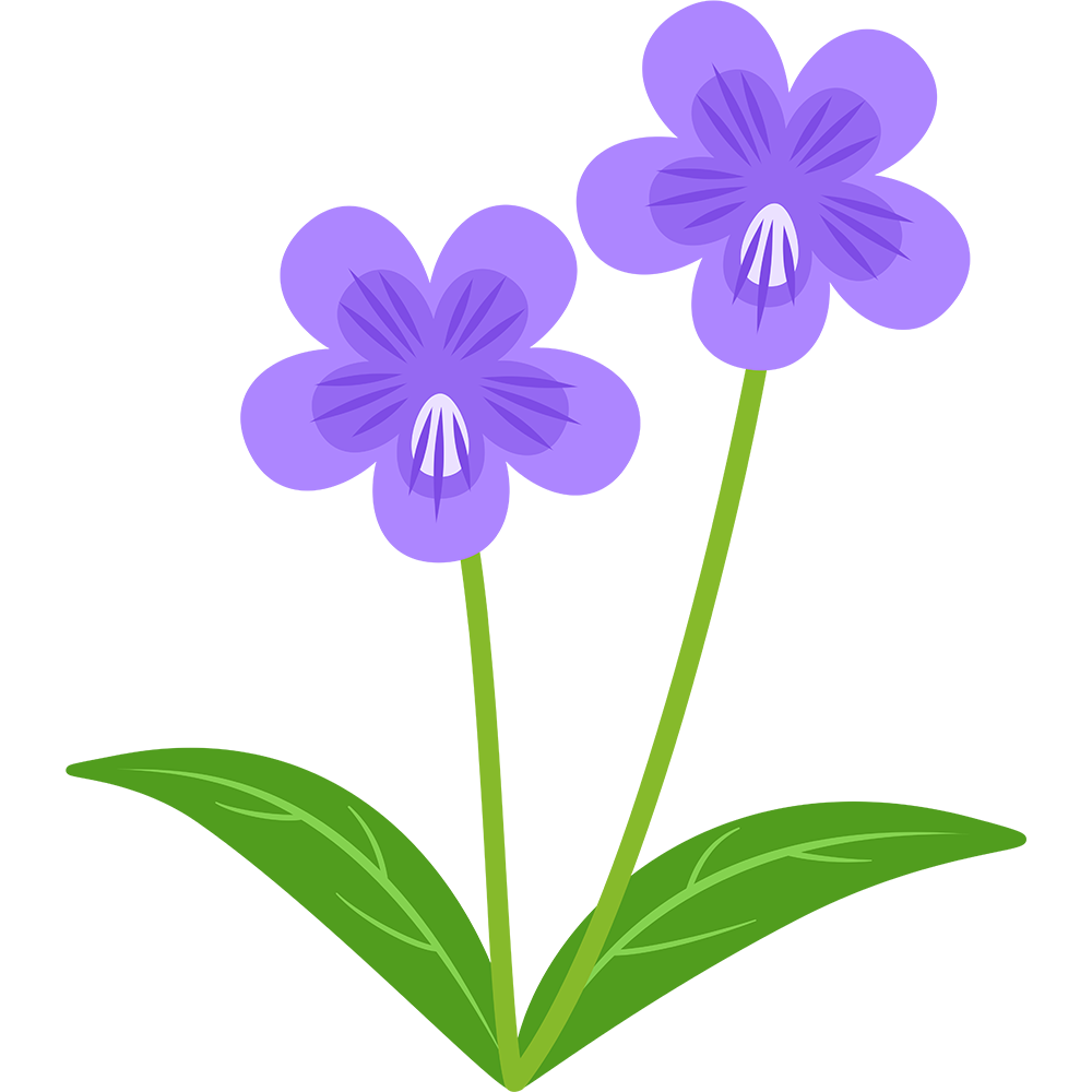 一輪 の 花 イラスト詳細 3位