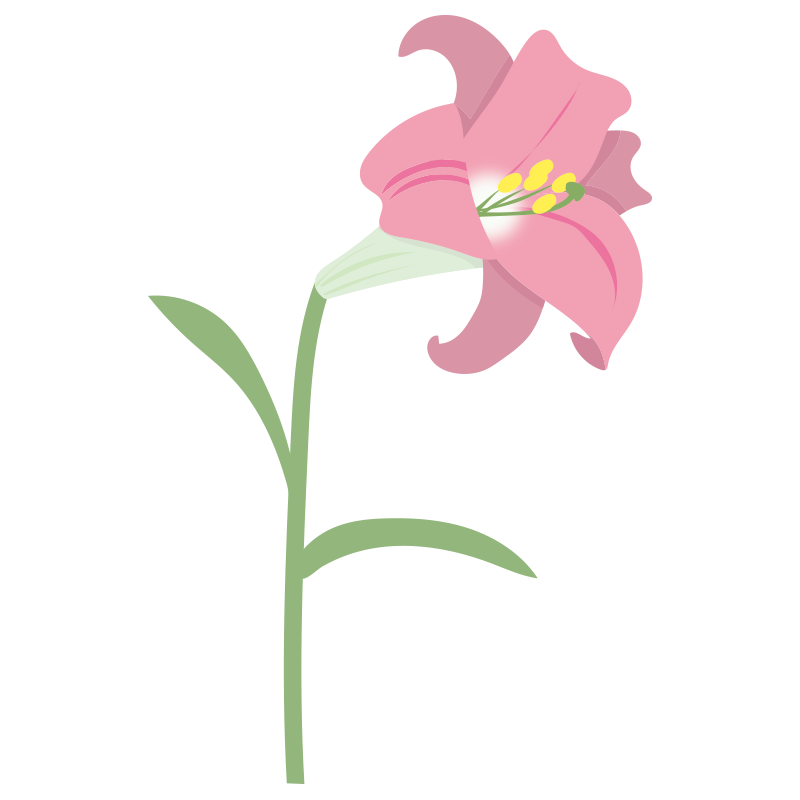 一輪 の 花 イラスト詳細 4位
