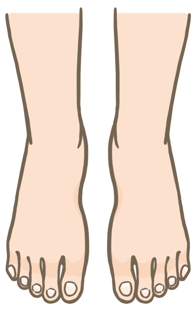 両足 イラスト詳細 2位