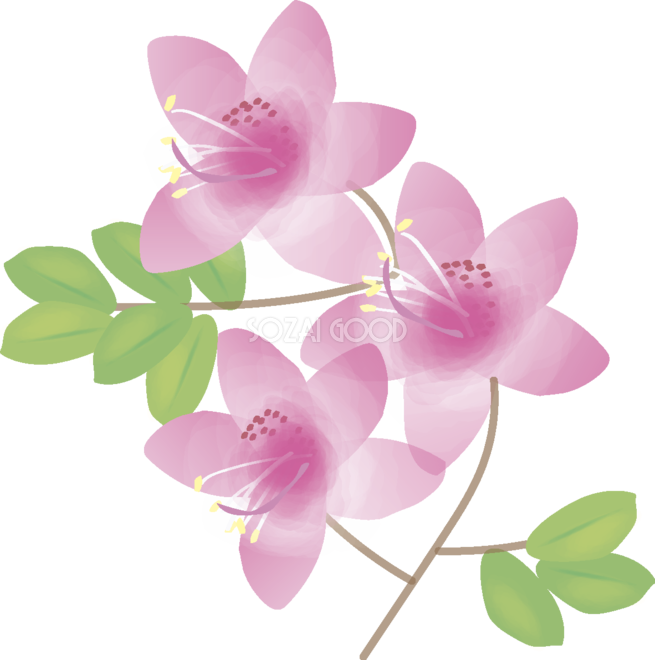 五 月 花 イラスト詳細 6位