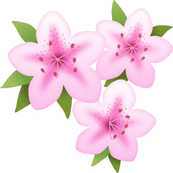 五 月 花 イラスト詳細 9位