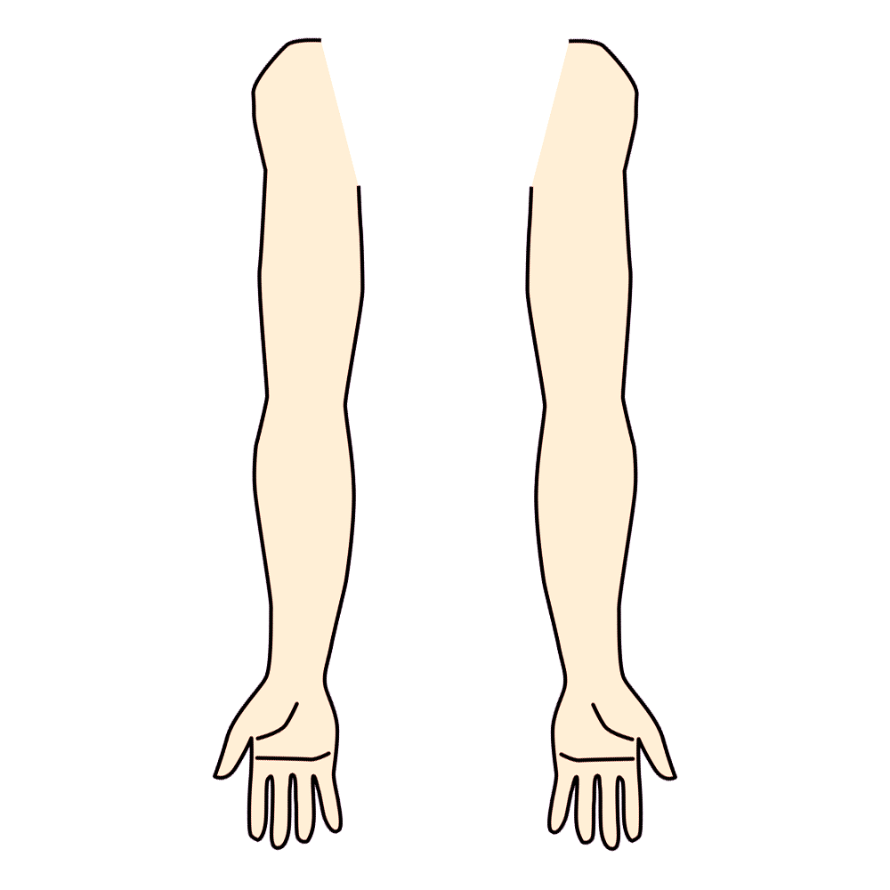 人体 図 イラスト詳細 3位