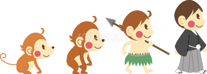 人類 の 進化 イラスト詳細 3位