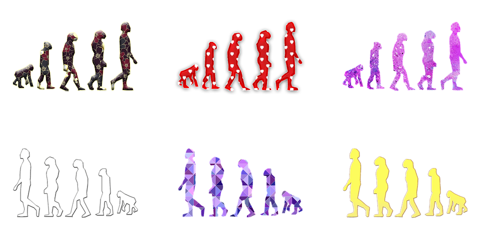 人類 の 進化 イラスト詳細 6位