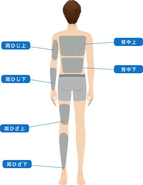 体 の 部位 イラスト 無料詳細 11位