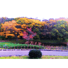 公園 背景詳細 11位