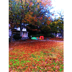 公園 背景詳細 13位