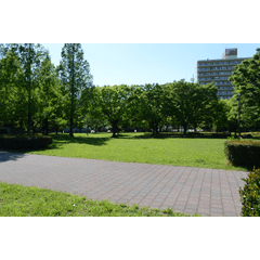公園 背景詳細 4位