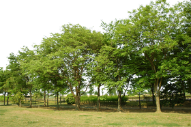 公園 背景詳細 10位