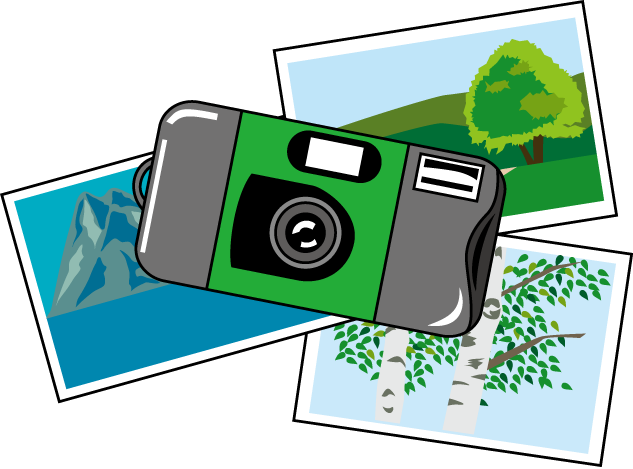 写真 イラスト詳細 11位