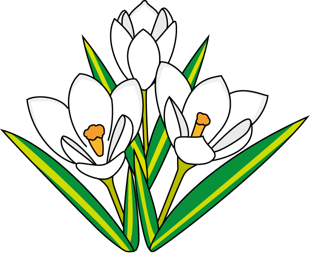 冬 の 花 イラスト詳細 3位