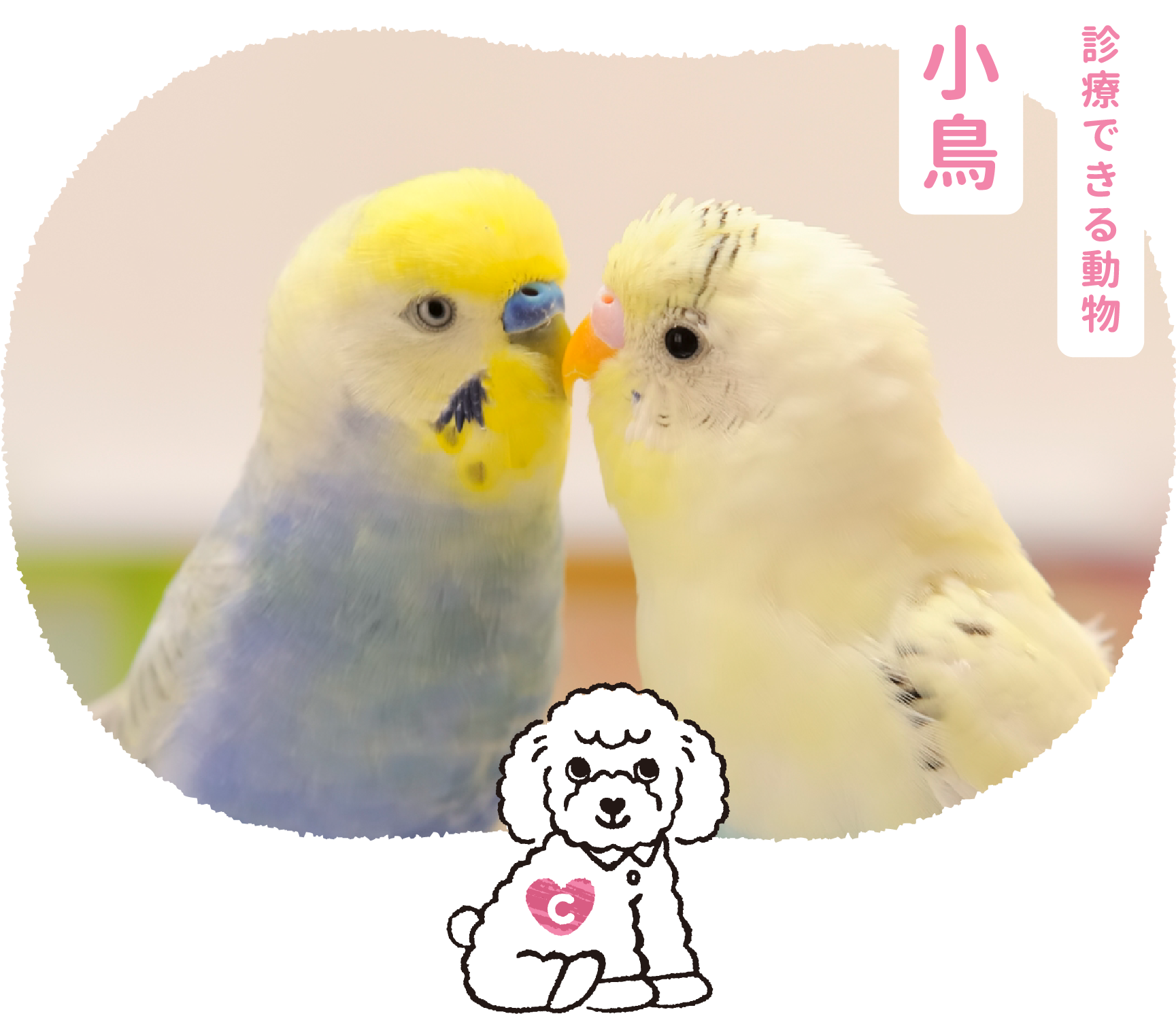動物 写真 フリー詳細 4位