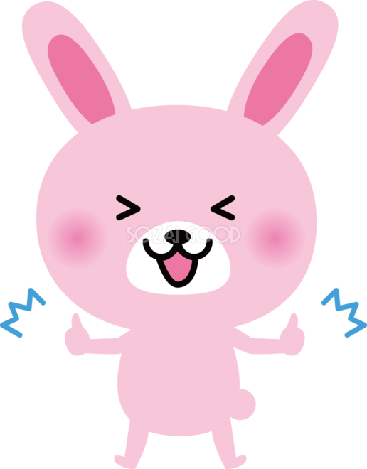 可愛い うさぎ 画像詳細 10位