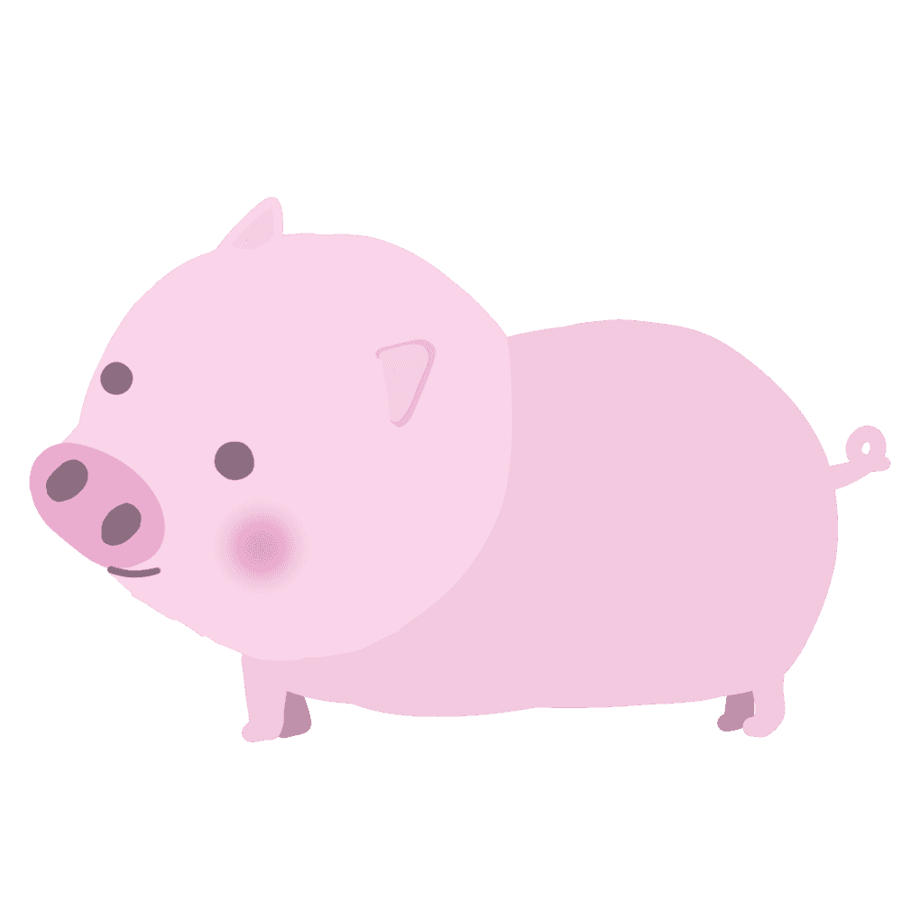 可愛い 子 豚 - KibrisPDR
