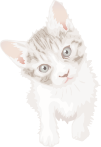 可愛い 子猫 イラスト詳細 7位