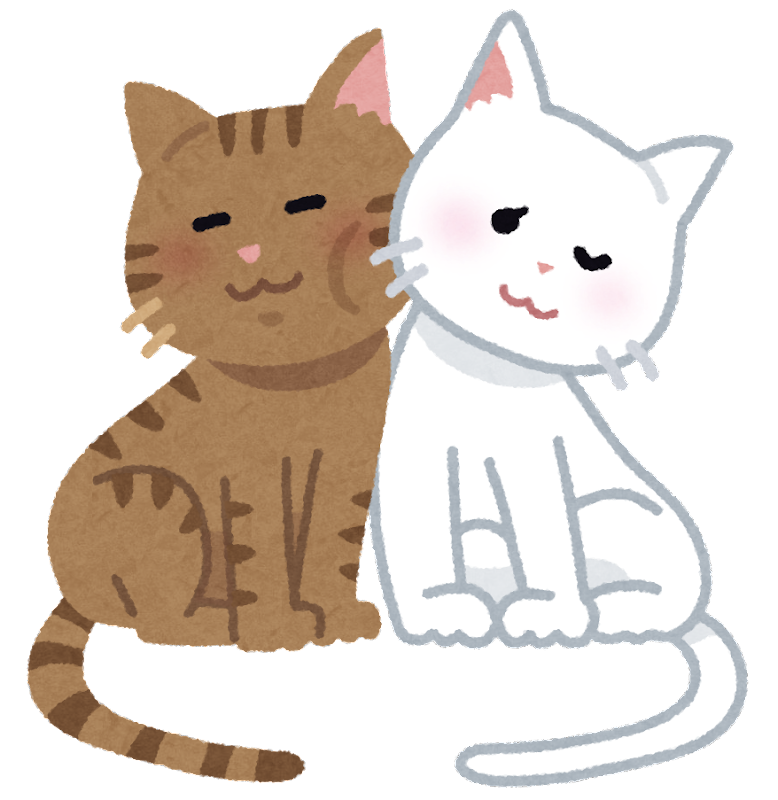 可愛い 猫 フリー 素材詳細 7位