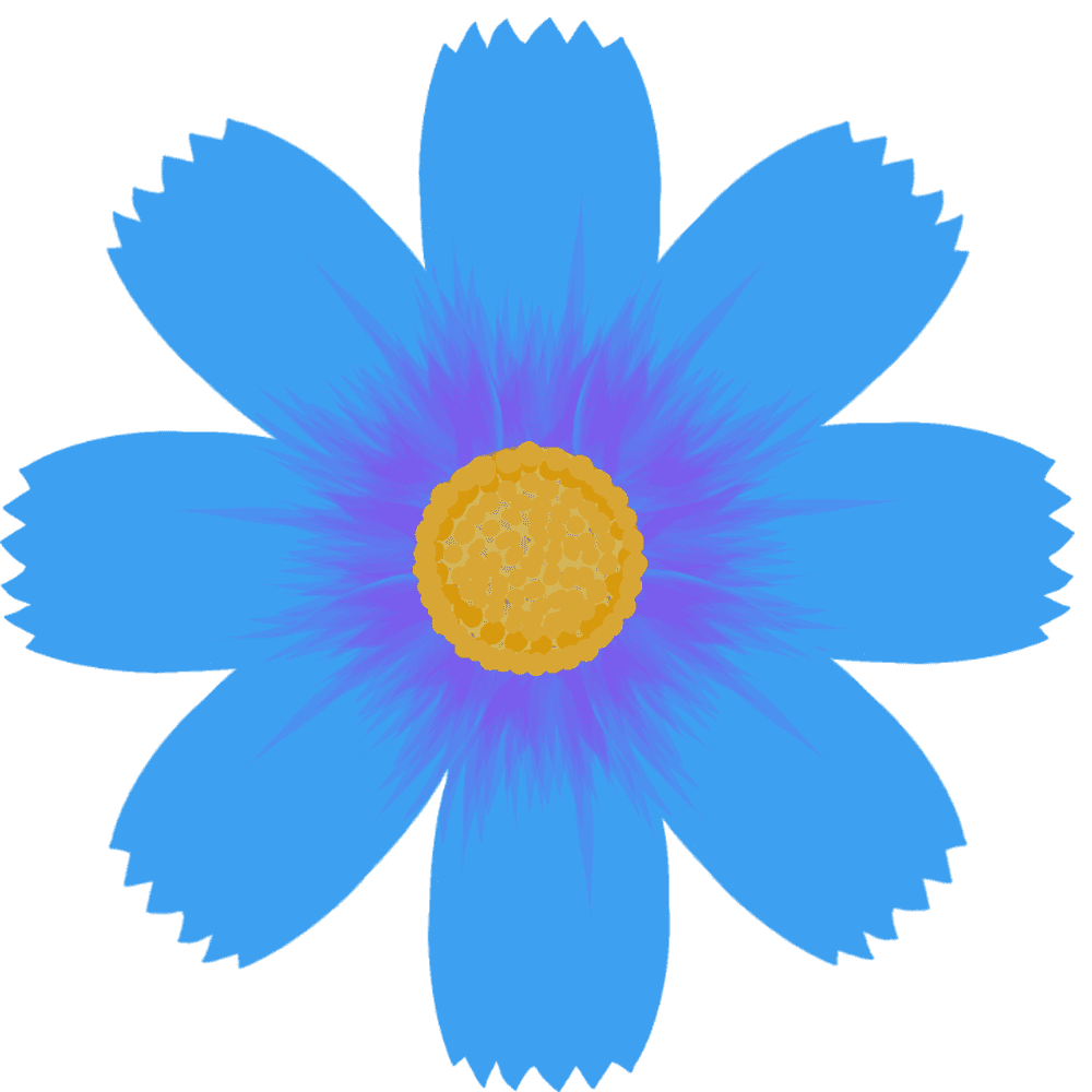 可愛い 花 画像詳細 9位